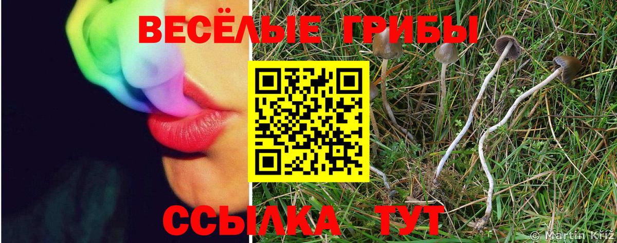 Кодеин Минусинск