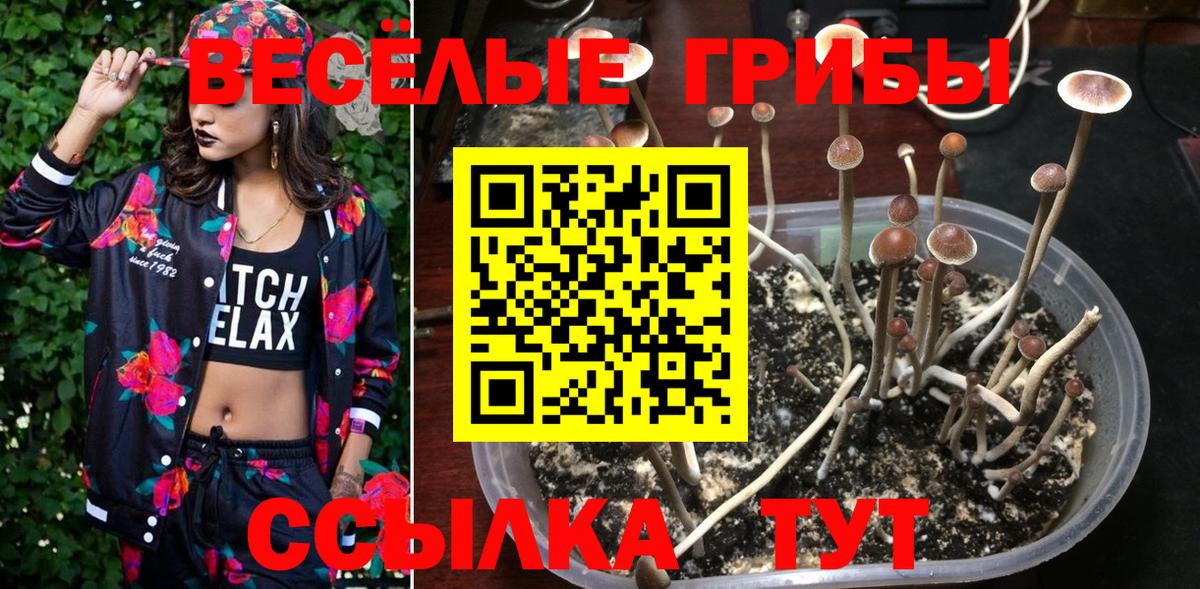 Псилоцибиновые грибы GOLDEN TEACHER Минусинск