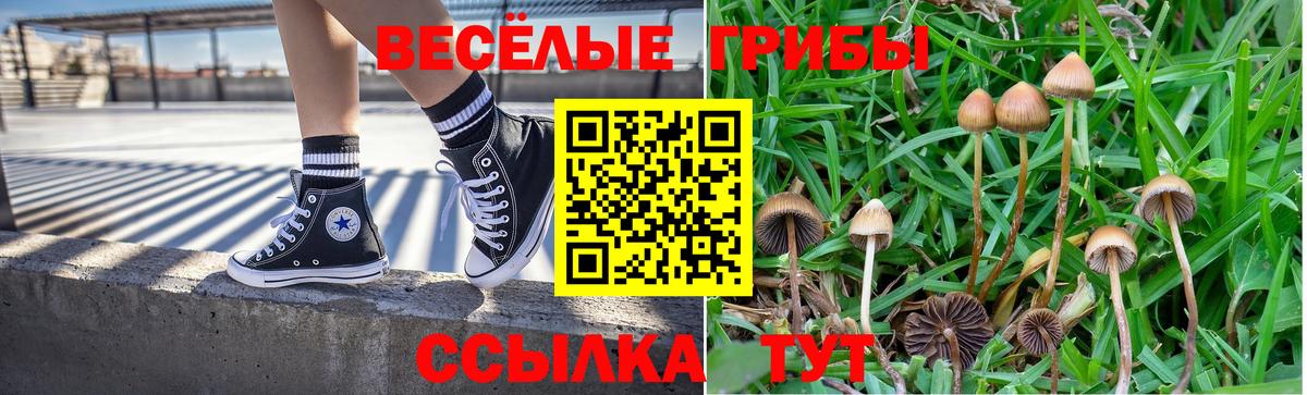 Галлюциногенные грибы прущие грибы  Вход с VPN  Минусинск  Галлюциногенные грибы GOLDEN TEACHER 
